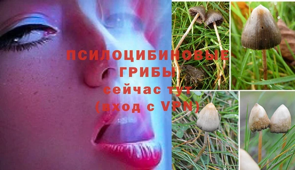 скорость Верея